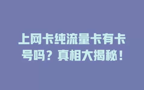 上网卡纯流量卡有卡号吗？真相大揭秘！