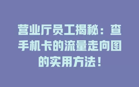 营业厅员工揭秘：查手机卡的流量走向图的实用方法！
