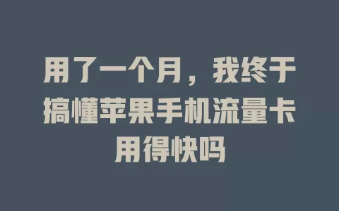 用了一个月，我终于搞懂苹果手机流量卡用得快吗