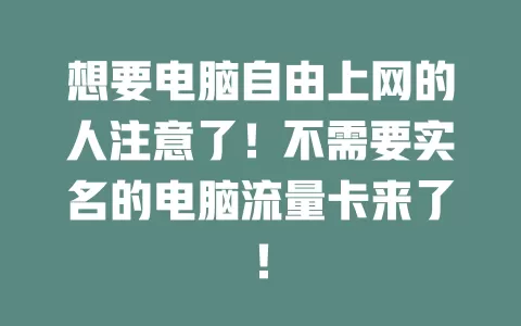 想要电脑自由上网的人注意了！不需要实名的电脑流量卡来了！