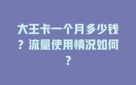 大王卡一个月多少钱？流量使用情况如何？