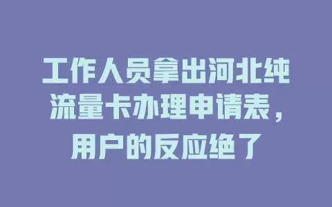 工作人员拿出河北纯流量卡办理申请表，用户的反应绝了