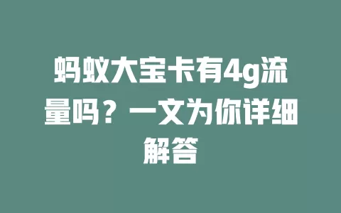 蚂蚁大宝卡有4g流量吗？一文为你详细解答