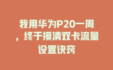 我用华为P20一周，终于摸清双卡流量设置诀窍
