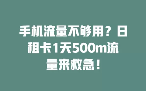 手机流量不够用？日租卡1天500m流量来救急！