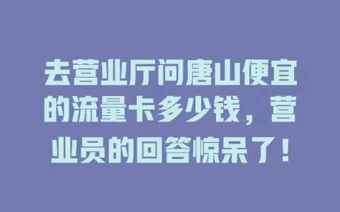 去营业厅问唐山便宜的流量卡多少钱，营业员的回答惊呆了！