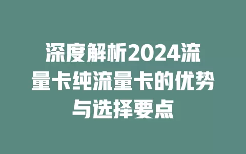 深度解析2024流量卡纯流量卡的优势与选择要点