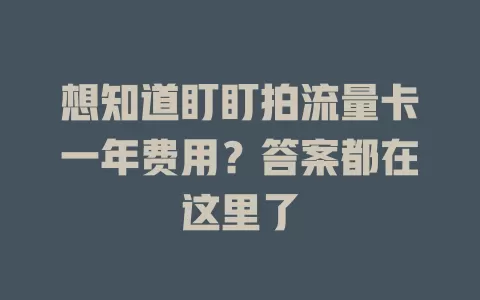 想知道盯盯拍流量卡一年费用？答案都在这里了