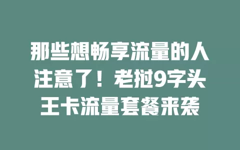 那些想畅享流量的人注意了！老挝9字头王卡流量套餐来袭