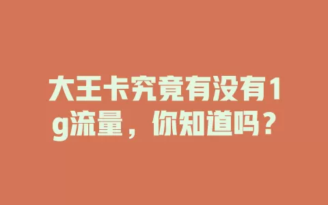 大王卡究竟有没有1g流量，你知道吗？
