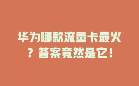 华为哪款流量卡最火？答案竟然是它！