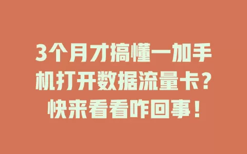 3个月才搞懂一加手机打开数据流量卡？快来看看咋回事！
