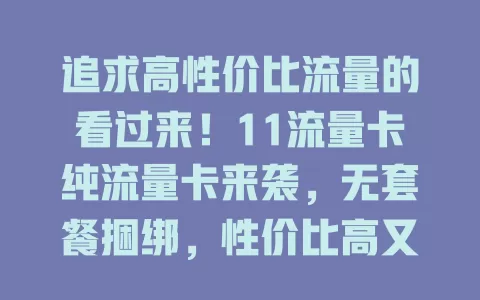 追求高性价比流量的看过来！11流量卡纯流量卡来袭，无套餐捆绑，性价比高又便捷，满足多样上网需求