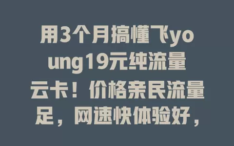 用3个月搞懂飞young19元纯流量云卡！价格亲民流量足，网速快体验好，售后完善，流量卡首选别错过！