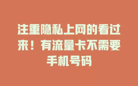 注重隐私上网的看过来！有流量卡不需要手机号码