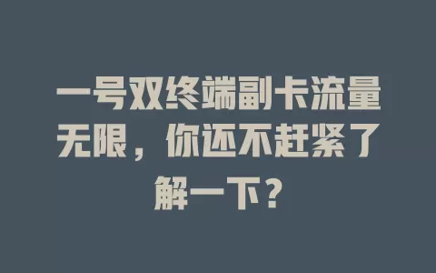一号双终端副卡流量无限，你还不赶紧了解一下？
