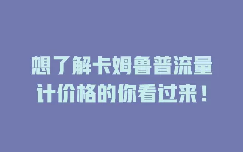 想了解卡姆鲁普流量计价格的你看过来！