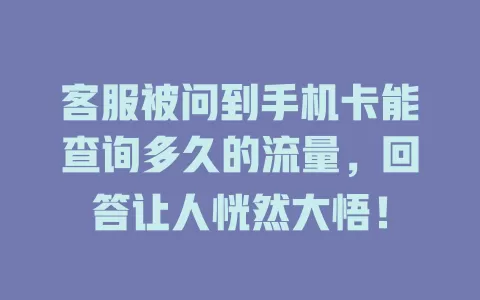 客服被问到手机卡能查询多久的流量，回答让人恍然大悟！