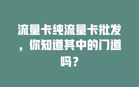 流量卡纯流量卡批发，你知道其中的门道吗？