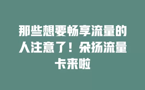 那些想要畅享流量的人注意了！朵扬流量卡来啦