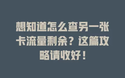 想知道怎么查另一张卡流量剩余？这篇攻略请收好！