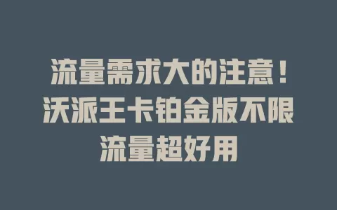 流量需求大的注意！沃派王卡铂金版不限流量超好用