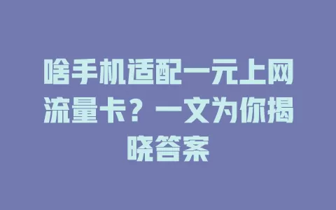 啥手机适配一元上网流量卡？一文为你揭晓答案