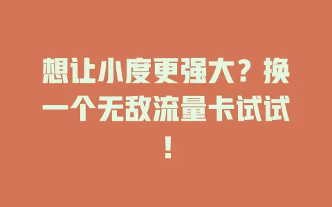 想让小度更强大？换一个无敌流量卡试试！