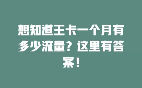 想知道王卡一个月有多少流量？这里有答案！
