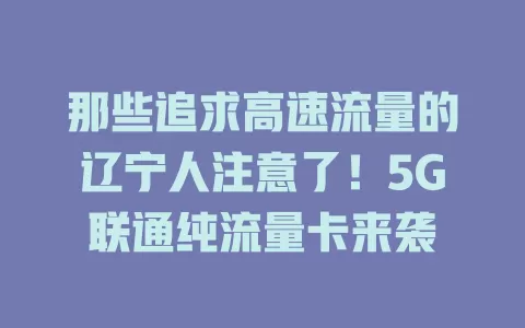 那些追求高速流量的辽宁人注意了！5G联通纯流量卡来袭