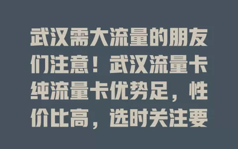 武汉需大流量的朋友们注意！武汉流量卡纯流量卡优势足，性价比高，选时关注要点，能满足日常需求，让你畅享数字化生活