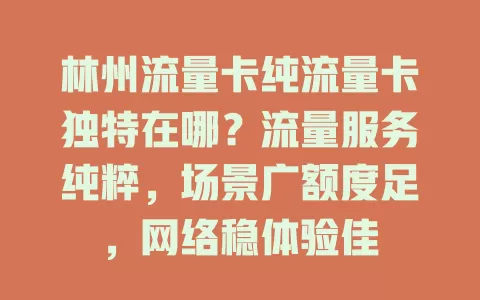 林州流量卡纯流量卡独特在哪？流量服务纯粹，场景广额度足，网络稳体验佳