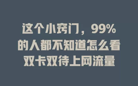 这个小窍门，99%的人都不知道怎么看双卡双待上网流量