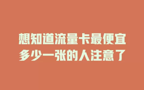 想知道流量卡最便宜多少一张的人注意了