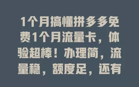 1个月搞懂拼多多免费1个月流量卡，体验超棒！办理简，流量稳，额度足，还有优惠，期满按需选套餐，畅享网络便利