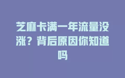 芝麻卡满一年流量没涨？背后原因你知道吗