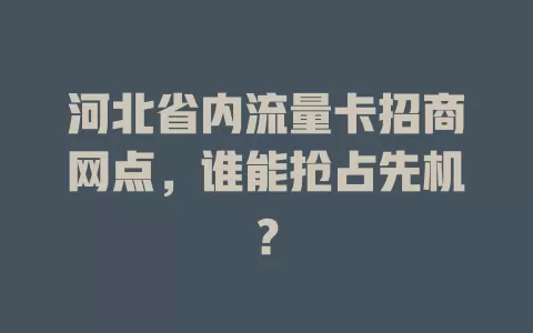 河北省内流量卡招商网点，谁能抢占先机？