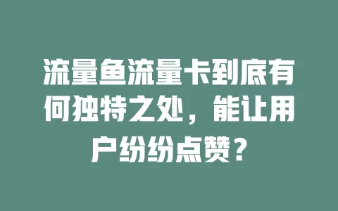 流量鱼流量卡到底有何独特之处，能让用户纷纷点赞？