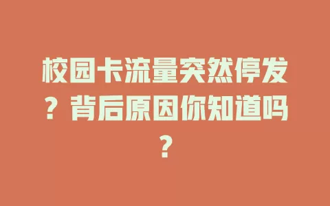 校园卡流量突然停发？背后原因你知道吗？