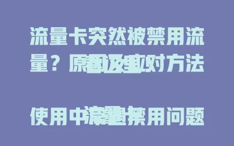 流量卡突然被禁用流量？原因及应对方法看这里！

流量卡使用中常遇禁用问题，或因达套餐上限，如每月 10GB 用完；或因异常行为，像短时间大量下载等；欠费也会导致。面对此状况，达上限可升级套餐等，因异常就规范习惯，欠费缴费即恢复。