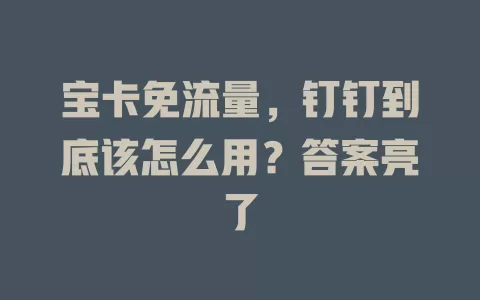 宝卡免流量，钉钉到底该怎么用？答案亮了