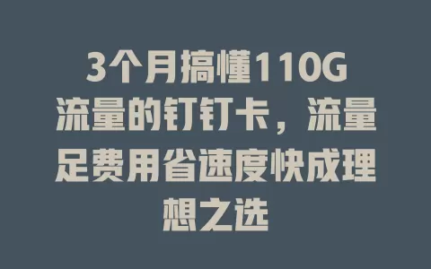 3个月搞懂110G流量的钉钉卡，流量足费用省速度快成理想之选