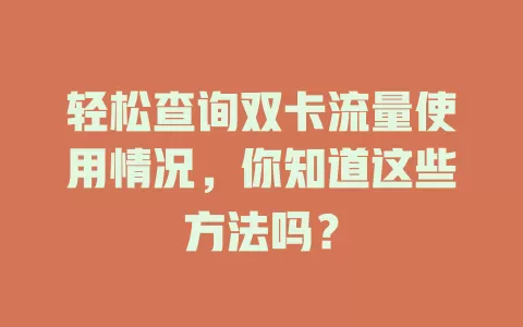 轻松查询双卡流量使用情况，你知道这些方法吗？
