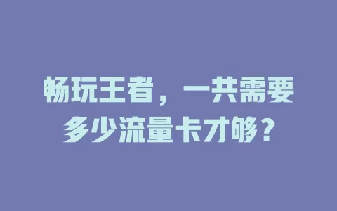 畅玩王者，一共需要多少流量卡才够？