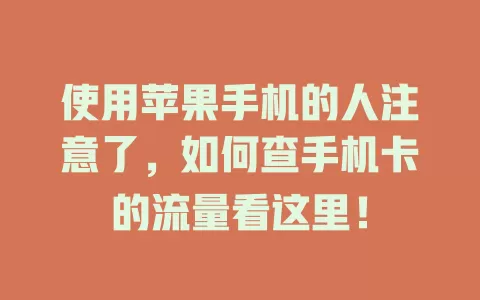 使用苹果手机的人注意了，如何查手机卡的流量看这里！