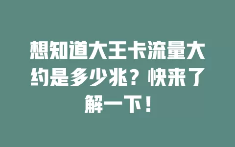 想知道大王卡流量大约是多少兆？快来了解一下！