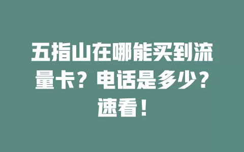 五指山在哪能买到流量卡？电话是多少？速看！