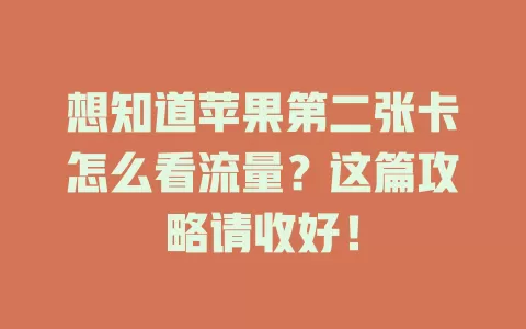 想知道苹果第二张卡怎么看流量？这篇攻略请收好！