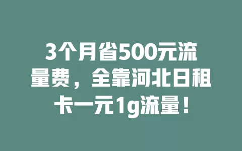3个月省500元流量费，全靠河北日租卡一元1g流量！