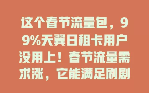 这个春节流量包，99%天翼日租卡用户没用上！春节流量需求涨，它能满足刷剧、社交、游戏、视频拜年，让你畅享网络欢乐无遗憾